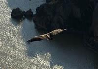 ESTA ESPAÑA NUESTRA: TURISMO VACACIONAL 2015 CON EXPERIENCIAS FLUVIALES.- DUERO, SIL Y MIÑO. II.- LAS ARRIBES DEL DUERO