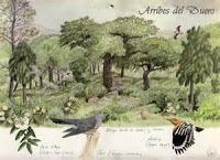 ESTA ESPAÑA NUESTRA: TURISMO VACACIONAL 2015 CON EXPERIENCIAS FLUVIALES.- DUERO, SIL Y MIÑO. II.- LAS ARRIBES DEL DUERO