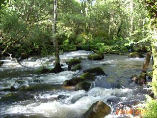 transformando la energía negativa en POSITIVA