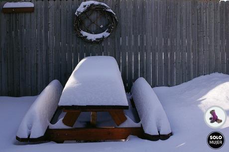 mesa picnic nieve