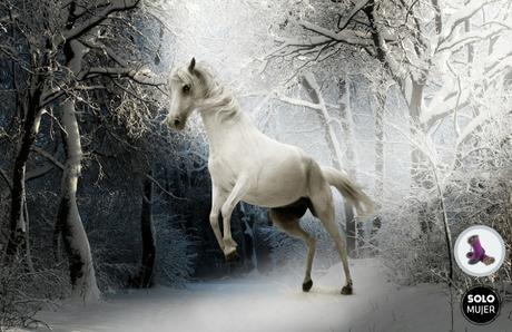 caballo blanco