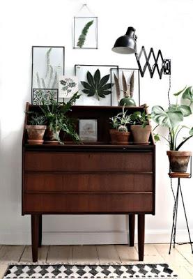 Tu salud en forma con mucho Feng