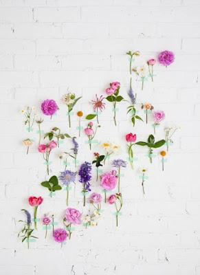 Tu salud en forma con mucho Feng