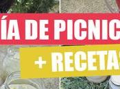 picnic recetas