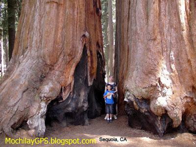 El oeste de Estados Unidos 3: De Death Valley al Pacífico