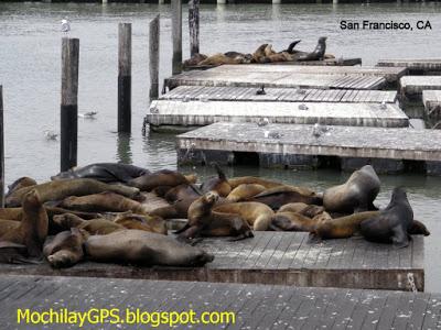 El oeste de Estados Unidos 3: De Death Valley al Pacífico