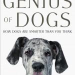 Brian Hare y Vanessa Woods: Genios. Los perros son más inteligentes de lo que pensamos.