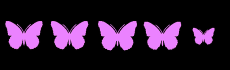 RESEÑA: LA SELECCIÓN