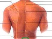 Despues leer esto olvidaras dolor ciática