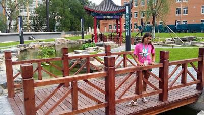 International Students Summer Camp-Beijing 2015. CHINA