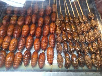 International Students Summer Camp-Beijing 2015. CHINA