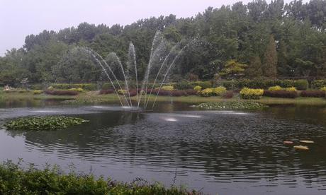 International Students Summer Camp-Beijing 2015. CHINA