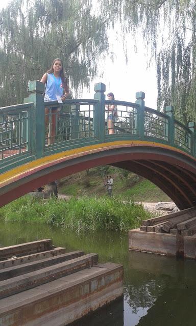 International Students Summer Camp-Beijing 2015. CHINA