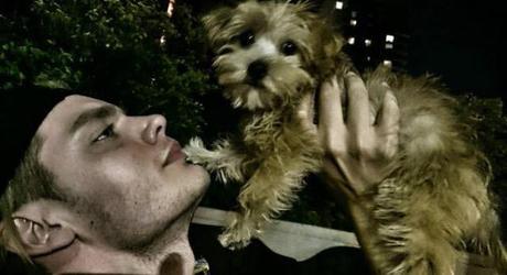 The Mortal Instruments 