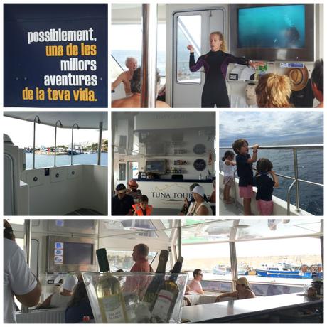 bañarse con atunes rojos