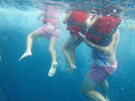 bañarse con atunes rojos