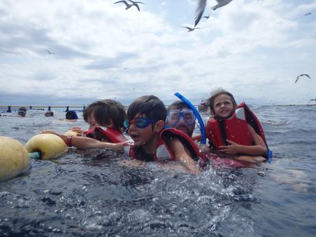 bañarse con atunes rojos