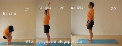 SALUTACIÓN AL SOL PARA PRINCIPIANTES (Con Fotos), una de las entradas más populares de vuestro YogaSala Málaga Blog, más de 11200 visitas.