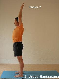 SALUTACIÓN AL SOL PARA PRINCIPIANTES (Con Fotos), una de las entradas más populares de vuestro YogaSala Málaga Blog, más de 11200 visitas.