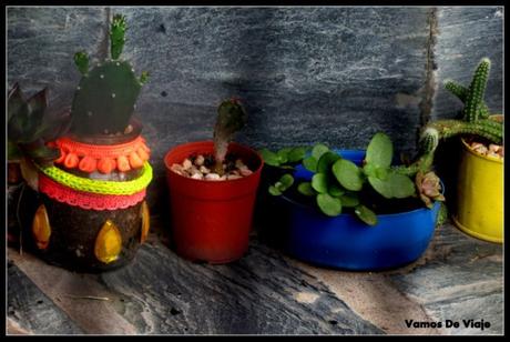 macetas