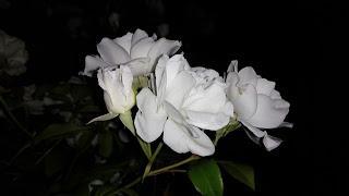 Review Lenovo K3 Note