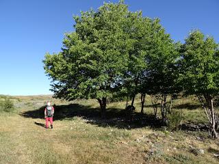 Huergas de Babia-Montihuero-Torre de Babia