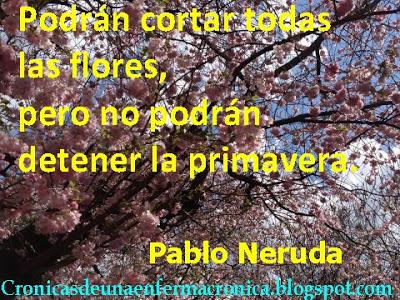 Pablo Neruda: luces y sombras