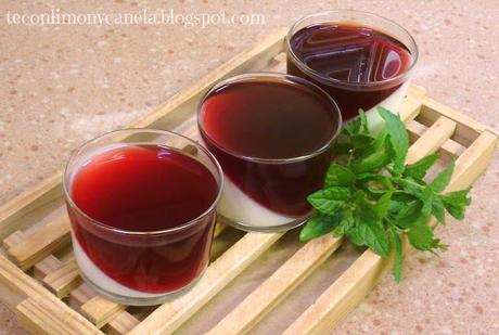 PANNACOTTA DE VAINILLA Y YOGURT  GRIEGO CON GELATINA DE GRANADA