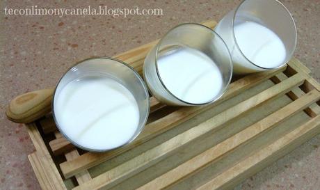 PANNACOTTA DE VAINILLA Y YOGURT  GRIEGO CON GELATINA DE GRANADA