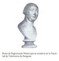 El Bálsamo del Cura de Tembleque.