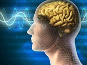 Crean implante cerebral para administrar farmacos distancia.
