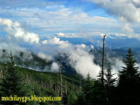 El este de Estados Unidos II: Land between the Lakes y Great Smoky Mountains