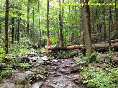 El este de Estados Unidos II: Land between the Lakes y Great Smoky Mountains