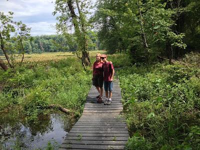 El este de Estados Unidos II: Land between the Lakes y Great Smoky Mountains