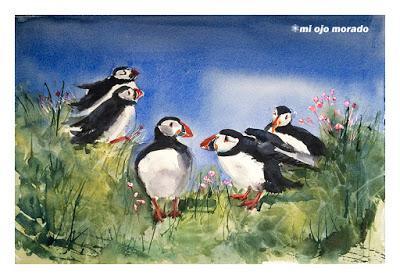 Ese pájaro entrañable: frailecillo, lundi o puffin