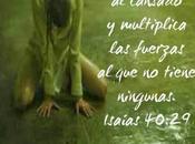 fuerzas pero luchando