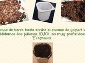 #Ecochiquillada