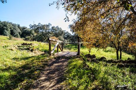 SIERRA DE HORNACHUELOS EN CÓRDOBA