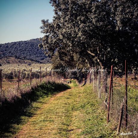 SIERRA DE HORNACHUELOS EN CÓRDOBA