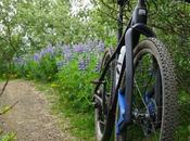 Lauf lanza nueva horquilla TR29 Boost unidad para bikes Carbonara