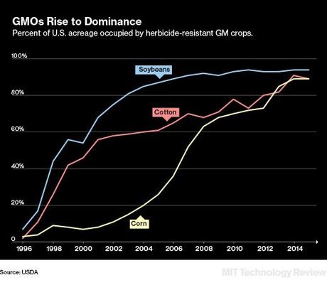 Monsanto ya no tiene el monopolio de los transgénicos