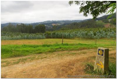 Camino Inglés de Santiago – Día 2 de 2: San Esteban de Cos – Santiago de Compostela (64 km.)