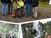 Hipoterapia Madeira silla ruedas