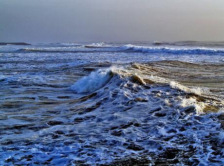 El Cambio Climático: El mar se está volviendo más ácido.