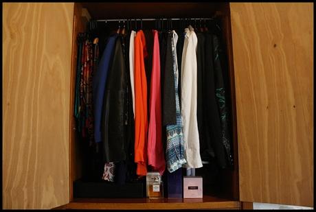 El clóset de mis amigas XVII