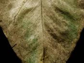 fotografía conceptual colombiano Juan Calle hace naturaleza espacio sexy