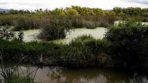 Los seres vivos dependen de ti y de mi inundaciones