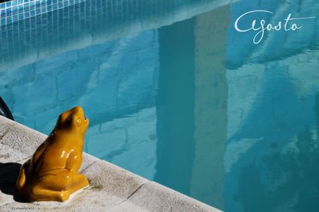 12+3=15 Fotografía. Agosto