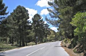 Puerto de Los Blancares, caracteres y altimetría Puerto de Los Blancares, caracteres y altimetría