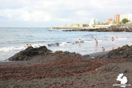 playa jardín